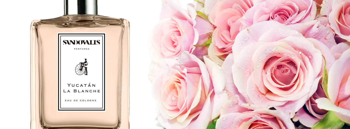 Sandovalis Eau de Parfum - Yucatán la Blanche