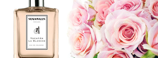 Sandovalis Eau de Parfum - Yucatán la Blanche