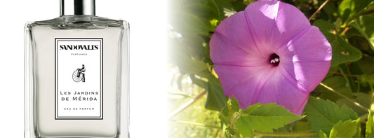 Sandovalis Eau de Parfum - Les Jardins de Mérida